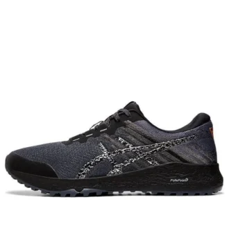 Alpine XT 2 „Carrier Grey Silver“