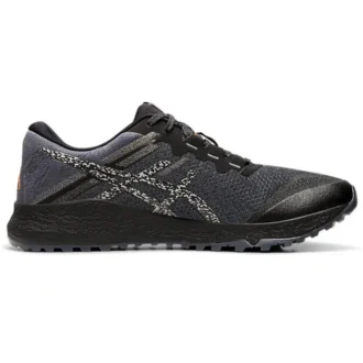 Alpine XT 2 „Carrier Grey Silver“