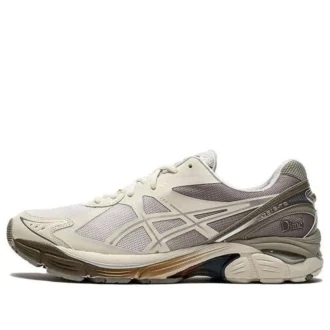 Asics x DIME GT-2160 „Arctic Wolf“