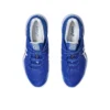 Court FF 3 Novak „Blue White“