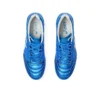 DS Light X-FLY 5 „Directoire Blue White“
