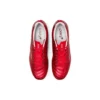 DS Light X-Fly Pro „Classic Red Beet Juice“