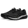 Gel-Kayano 29 Platinum „Black White“
