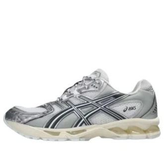 Gel-Nimbus 10.1 „Silber Metallic“