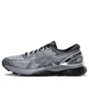 Gel-Nimbus 21 Platinum „Sheet Rock Silver“