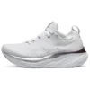 Gel-Nimbus 26 Platinum „Real White Pure Silver“