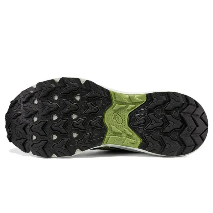 GEL-Venture 9 „Rain Forest Cactus“