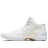 Gelhoop V12 „White“