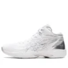 Gelhoop V14 „White Silver“
