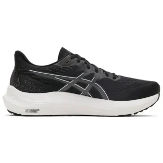 GT-2000 12 „Black Carrier Grey“