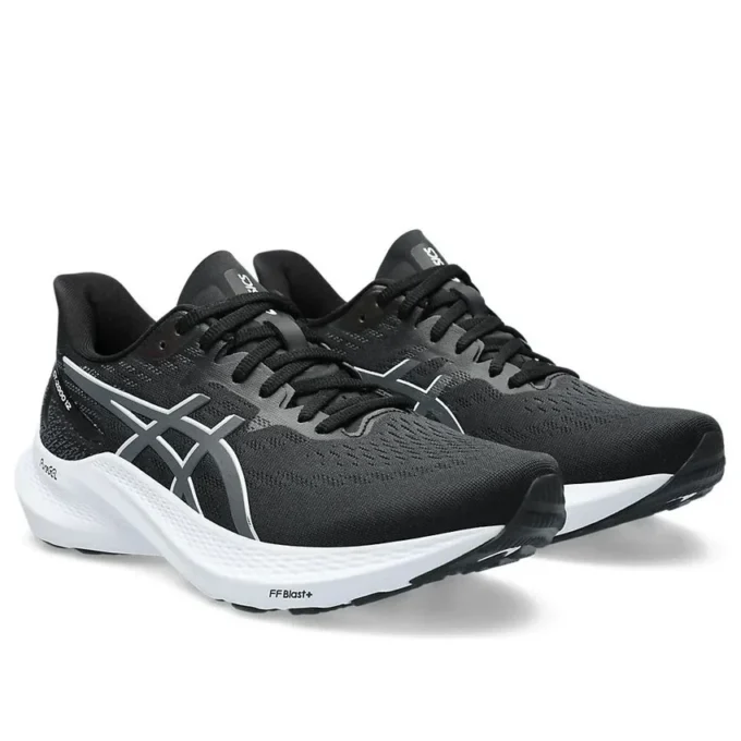 GT-2000 12 „Black Carrier Grey“