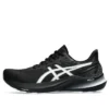 GT-2000 12 „Black White“