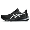 GT-2000 12 „Black White“