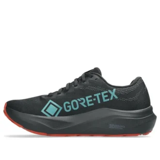 GT-2000 14 Gore-Tex „Black Apricot Crush“