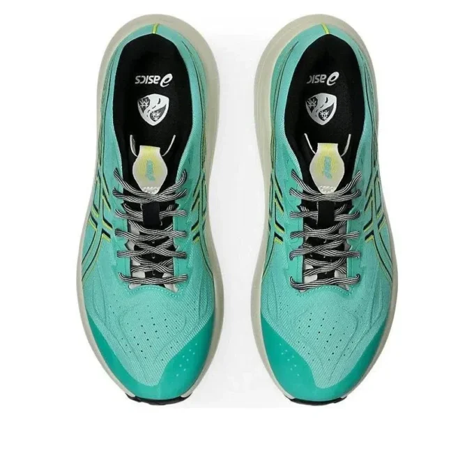 GT-2000 14 TR „Aurora Green Cacti“