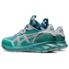 HS1-S Tarther Blast „Misty Pine“