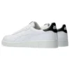 Japan S „White Black“