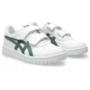 Japan S „White Ivy“