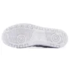 Japan S „White Silver“