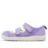 (PS) Amphibian 9 „Lavendel“