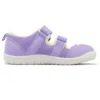 (PS) Amphibian 9 „Lavendel“