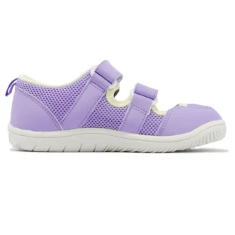 (PS) Amphibian 9 „Lavendel“