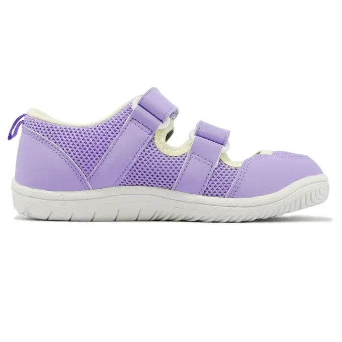 (PS) Amphibian 9 „Lavendel“
