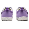 (PS) Amphibian 9 „Lavendel“