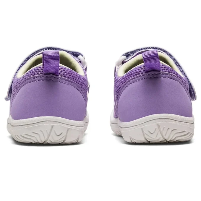 (PS) Amphibian 9 „Lavendel“